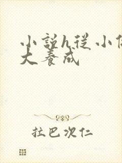 小说h从小做到大养成