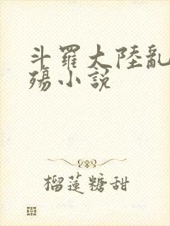 斗罗大陆乱世浮殇小说