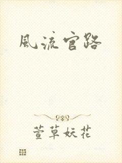 风流官路