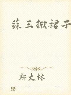 苏三掀裙子封面