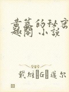 黄蓉的秘密 笔趣阁 小说