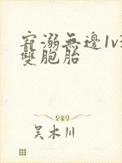 宠溺无边1v3双胞胎封面