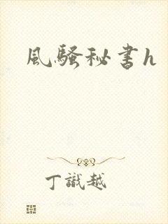 风骚秘书h封面