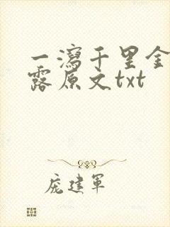 一泻千里金银花露原文txt