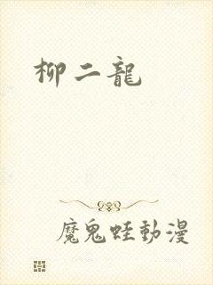 柳二龙封面