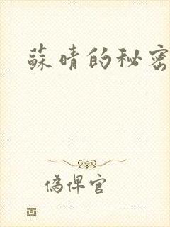 苏晴的秘密小说