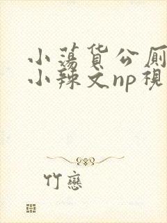 小荡货公厕h文小辣文np视频