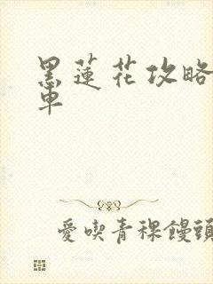 黑莲花攻略手册车