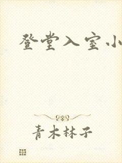 登堂入室小说