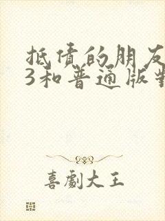 抵债的朋友麦子3和普通版对比