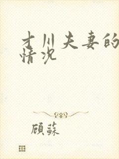 才川夫妻的恋爱情况