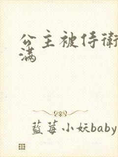 公主被侍卫填的满