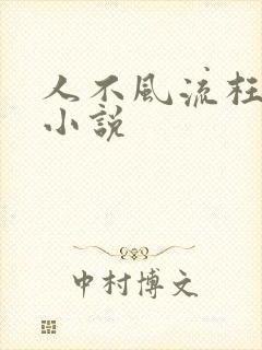 人不风流枉少年小说