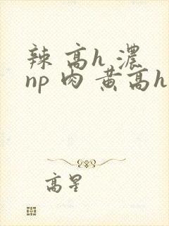辣 高h 浓 np 肉 黄高h封面