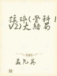 揉碎(骨科 1V2)大结局