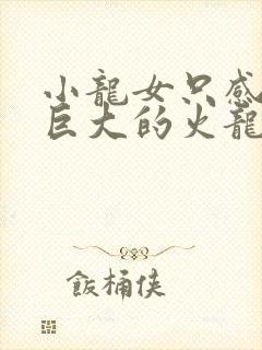 小龙女只感觉那巨大的火龙枪