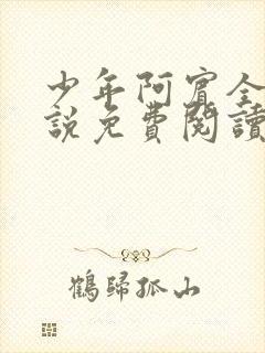 少年阿宾全文小说免费阅读笔趣阁封面