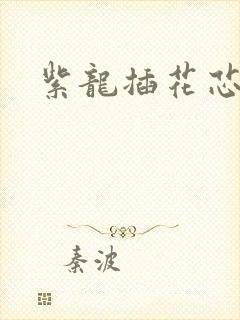 紫龙插花芯方正