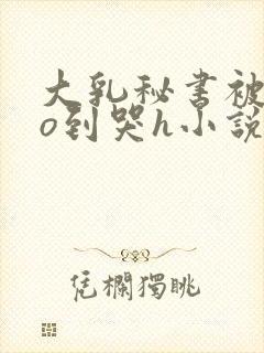 大乳秘书被cao到哭h小说封面