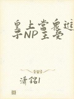 皇上当众进入太子NP主受