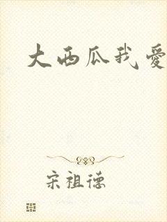大西瓜我爱你封面
