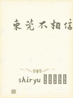 东莞不相信眼泪封面