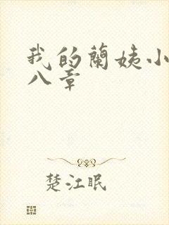 我的兰姨小说第八章