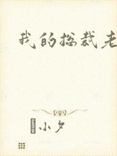 我的总裁老妈封面