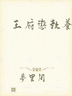 王府惩教养日常