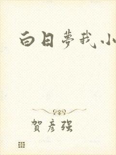 白日梦我小说