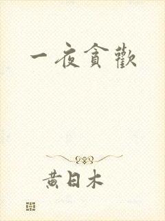 一夜贪欢