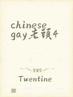 chinesegay老头4
