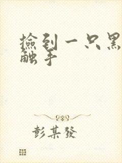 捡到一只黑心小触手