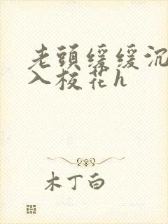 老头缓缓沉腰进入校花h