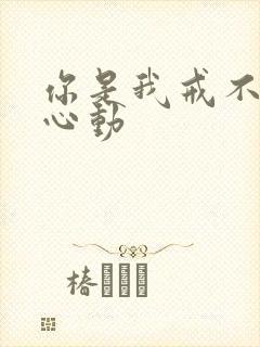 你是我戒不掉的心动