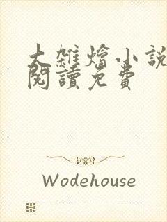 大杂烩小说全集阅读免费