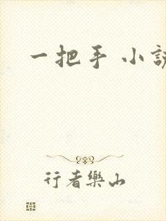 一把手 小说