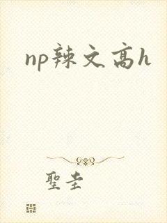 np辣文高h封面