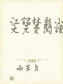 江铭林熙小说全文免费阅读