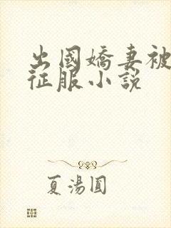 出国娇妻被黑人征服小说封面