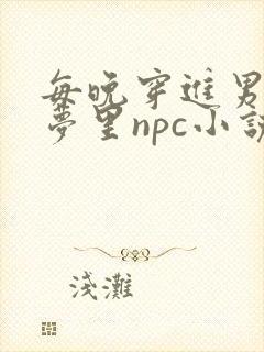 每晚穿进男神的梦里npc小说