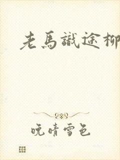 老马识途柳娇娇封面