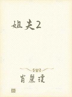 姐夫2