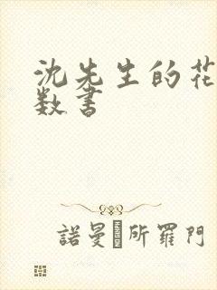 沈先生的花式调数书封面