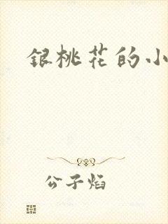 银桃花的小说