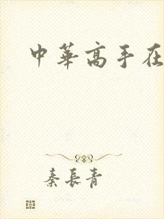 中华高手在异世封面