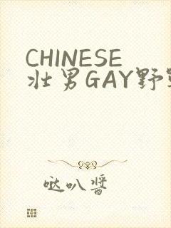 CHINESE壮男GAY野战强迫TUBE