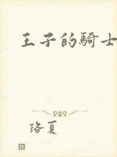 王子的骑士小说