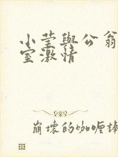 小莹与公翁办公室激情