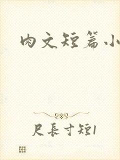 肉文短篇小说封面